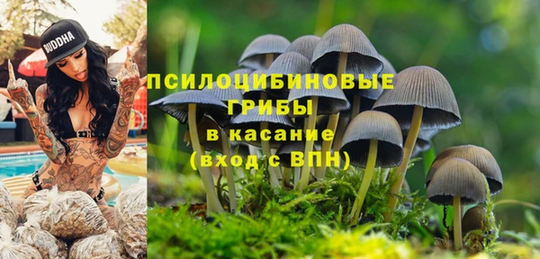 герыч Бородино