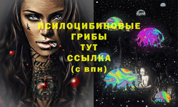 твердый Рославль